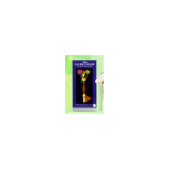 Clé Mickey Main Attraction Tiki Room