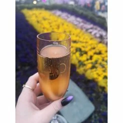 Coupe De Champagne Réutilisable Incassable (pas En Verre) Dorée