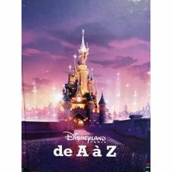 Livre Disneyland Paris De A à Z